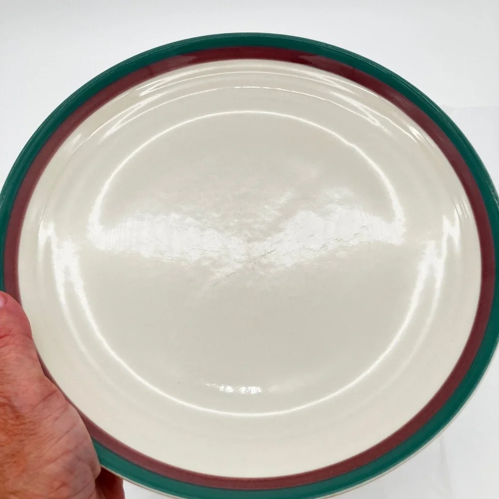 Pfaltzgraff Dinner Plate Juniper 10.25